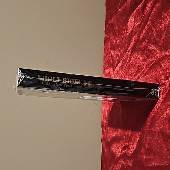 Holy Bibble, New - Picture 3 of 4